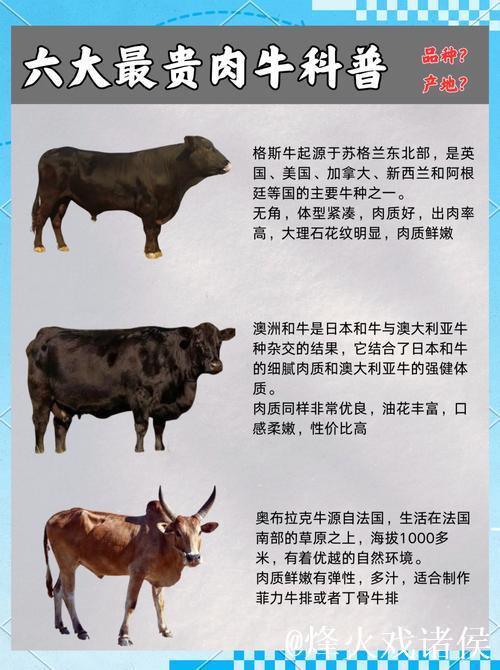 探索亚洲国产精品牛在线精彩世界