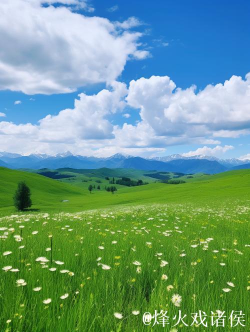 青青草久草：追寻自然与心灵的宁静